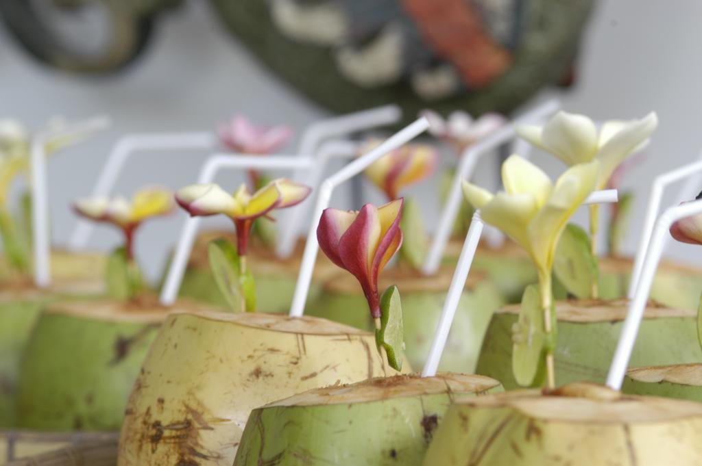 Alami Villa Ubud  Ngoại thất bức ảnh