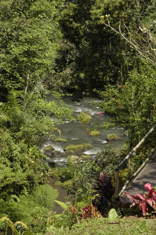 Alami Villa Ubud  Ngoại thất bức ảnh
